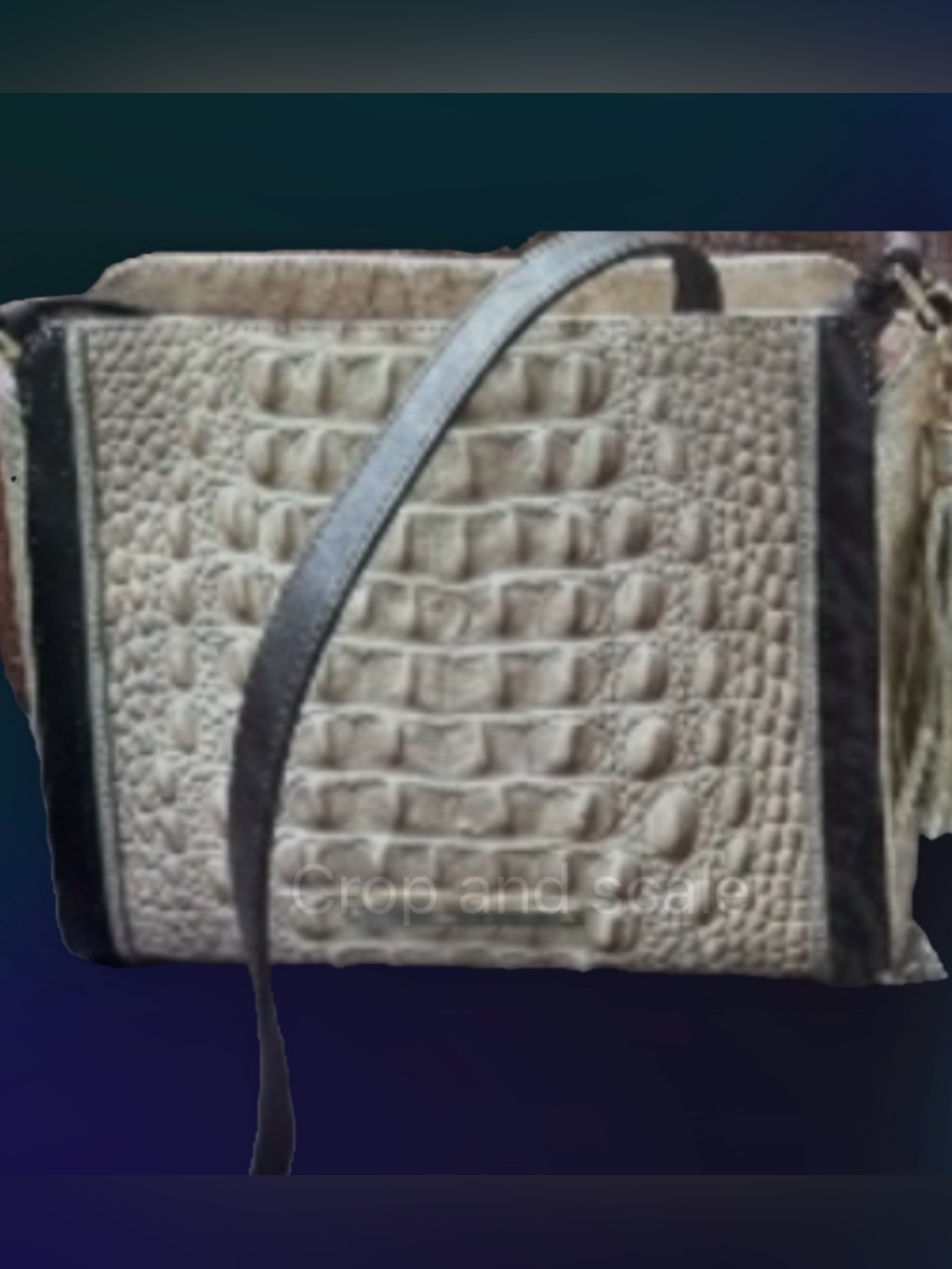 Brahmin Croc-Embossed Crossbody Bag With Black Trim : Beige Cream Gold Colors